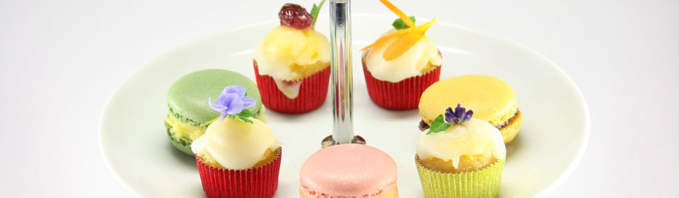 Bewertung Partyservice Fröhlich - Panna Cotta-Terrine Bewertung Partyservice Fröhlich - Panna Cotta-Terrine