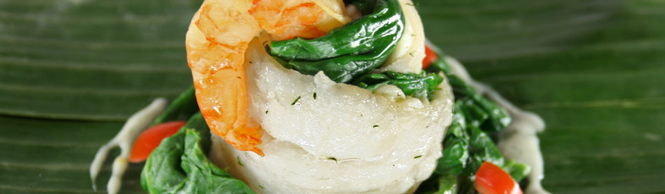 Seezungenröllchen mit Spinat-Kräuterfarce Seezungenröllchen mit Spinat-Kräuterfarce